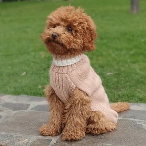 Dusty Pink Alpaca Dog Sweater by Alqo Wasi Made in Peru